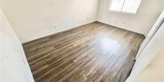 1008 Falconhead Lane Gallery 11