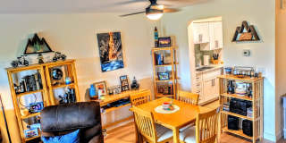 SEASONAL/SHORT TERM TURNKEY condo SEASONAL/SHORT TERM TURNKEY condo Gallery 17
