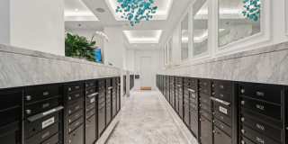 Josephine Gallery 88