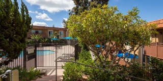 Volterra at La Mesa Gallery 99