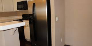 24341 CONEJO Gallery 10