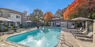 Terra at Portola Park Gallery 18