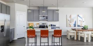 Caso University Heights Gallery 12