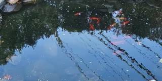 1 Blackford Avenue Gallery 23