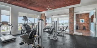 TGM Harbor Beach TGM Harbor Beach Gallery 29