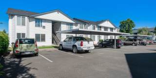 Park Avenue Village Apartments Gallery 25