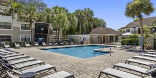 Alvista Hollywood Gallery 18