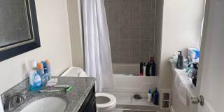 4 Bedroom House in Manayunk Gallery 4