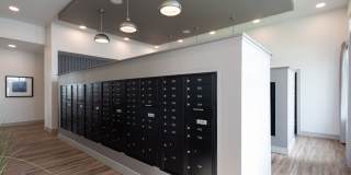 Emory West Cypress Gallery 20