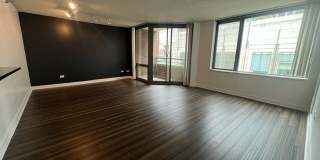 480 N MCCLURG Court Gallery 5