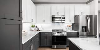 The Steadman Apartments Gallery 2