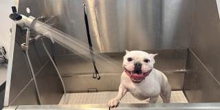 The Flats at Jasper Gallery 32