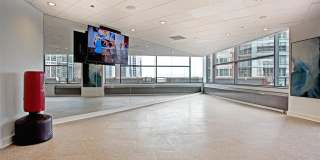 Cityfront Place Gallery 21