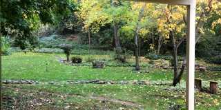 Nevada City Town-House Close to Downtown! Gallery 23