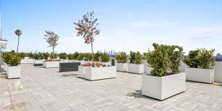 La Vida Melrose Gallery 7