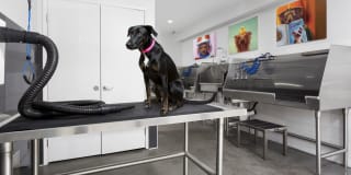 AVA Toluca Hills AVA Toluca Hills Gallery 41