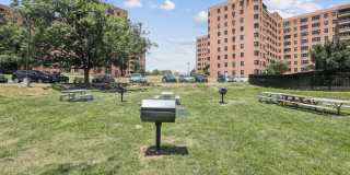 Bridgeyard Gallery 18