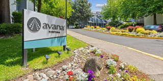 Avana Hamptons Gallery 24