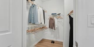 The Ashborough Gallery 16