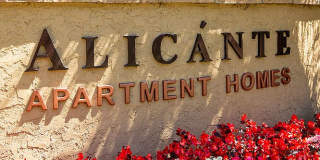 Elán Alicante La Costa Apartment Homes Gallery 1