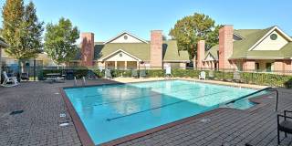Ashford Wellington - 55+ Senior Living Gallery 35