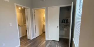 2946 Olmos Creek Dr Gallery 1
