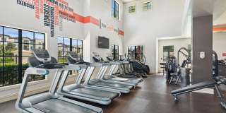 The Point at Lakeside Gallery 17