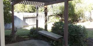 8124 Pinefield Dr Gallery 16