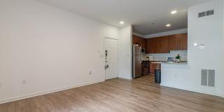 The Maddox Gallery 25