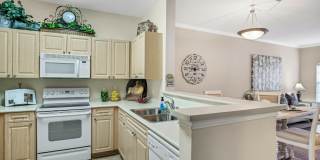 Springfield Apartments Gallery 6