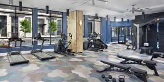 Camden Durham Gallery 45