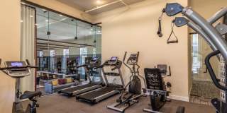 The St. John Gallery 21