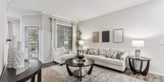 Stone Oak @ Parmer Gallery 7