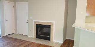 11705-A SUMMERCHASE Circle Gallery 2