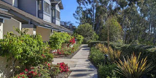 Spacious 2 Bedroom 2-1/2 Bathroom Townhome with 2-car garage in La Jolla near UCSD Gallery 38