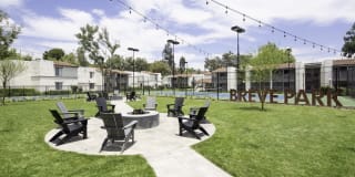 Breve Park Gallery 9