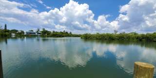 ALL THE CHARM! - Siesta Key 1+ acre on the Bay - 3 bed/ 2 bath pool home Gallery 58