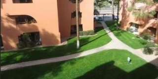 12222 N PARADISE VILLAGE Parkway S Gallery 8