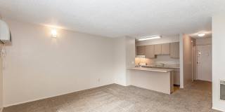 Raintree Apartments Gallery 28
