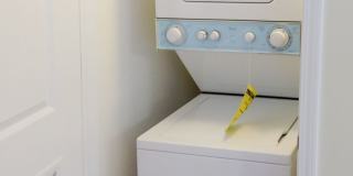 4651 North Wolcott Ave. Apt. Gallery 19