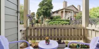 15 Shoreline Ct Gallery 19