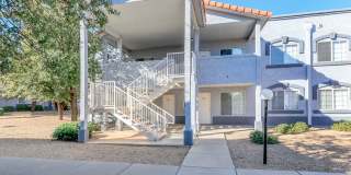 The Palisades Gallery 24