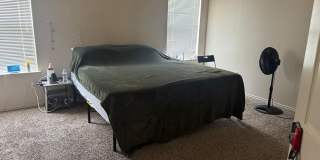 Spacious 4BR House in Pflugerville Gallery 1