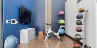 Kinsley Forest Gallery 19