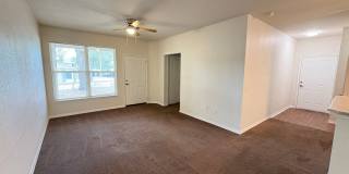 1003 Gallery 4
