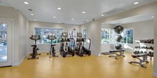 Castlepark Gallery 21