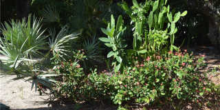 1304 Coral Park Lane Gallery 14