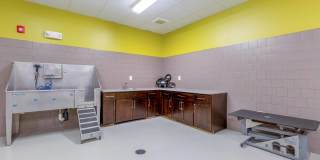 Terano Apartment Homes Gallery 16