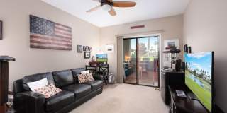 28914 Desert Princess Drive Gallery 15