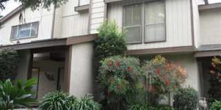 310 S Argyle 106 Gallery 1